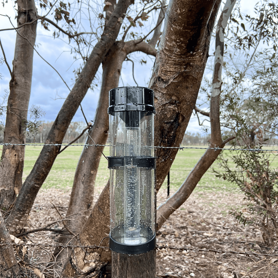 GardenGlimmer™ Rain Gauge