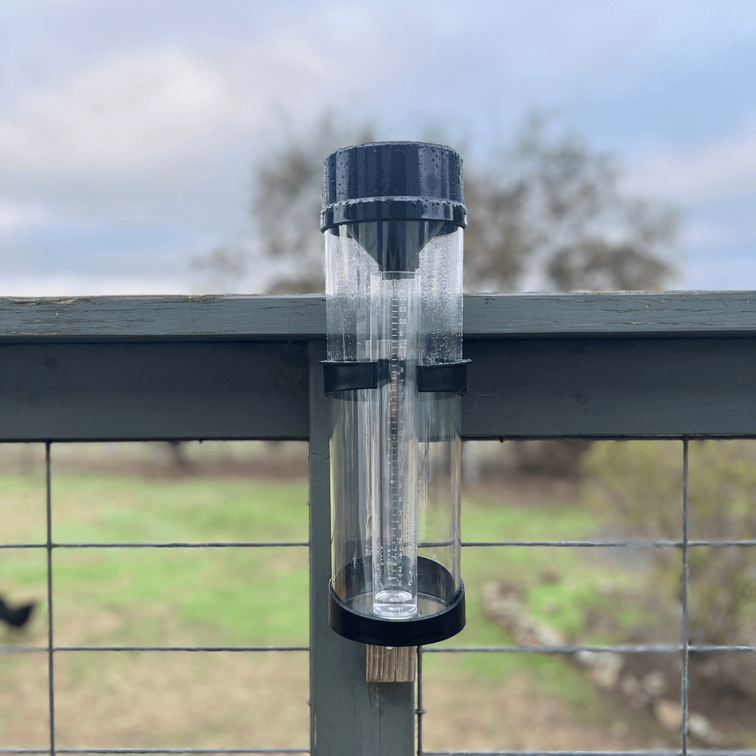 GardenGlimmer™ Rain Gauge
