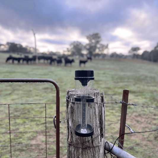 GardenGlimmer™ Rain Gauge
