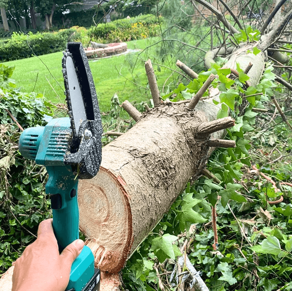 GardenGlimmer™ 6" Electric Chainsaw Kit