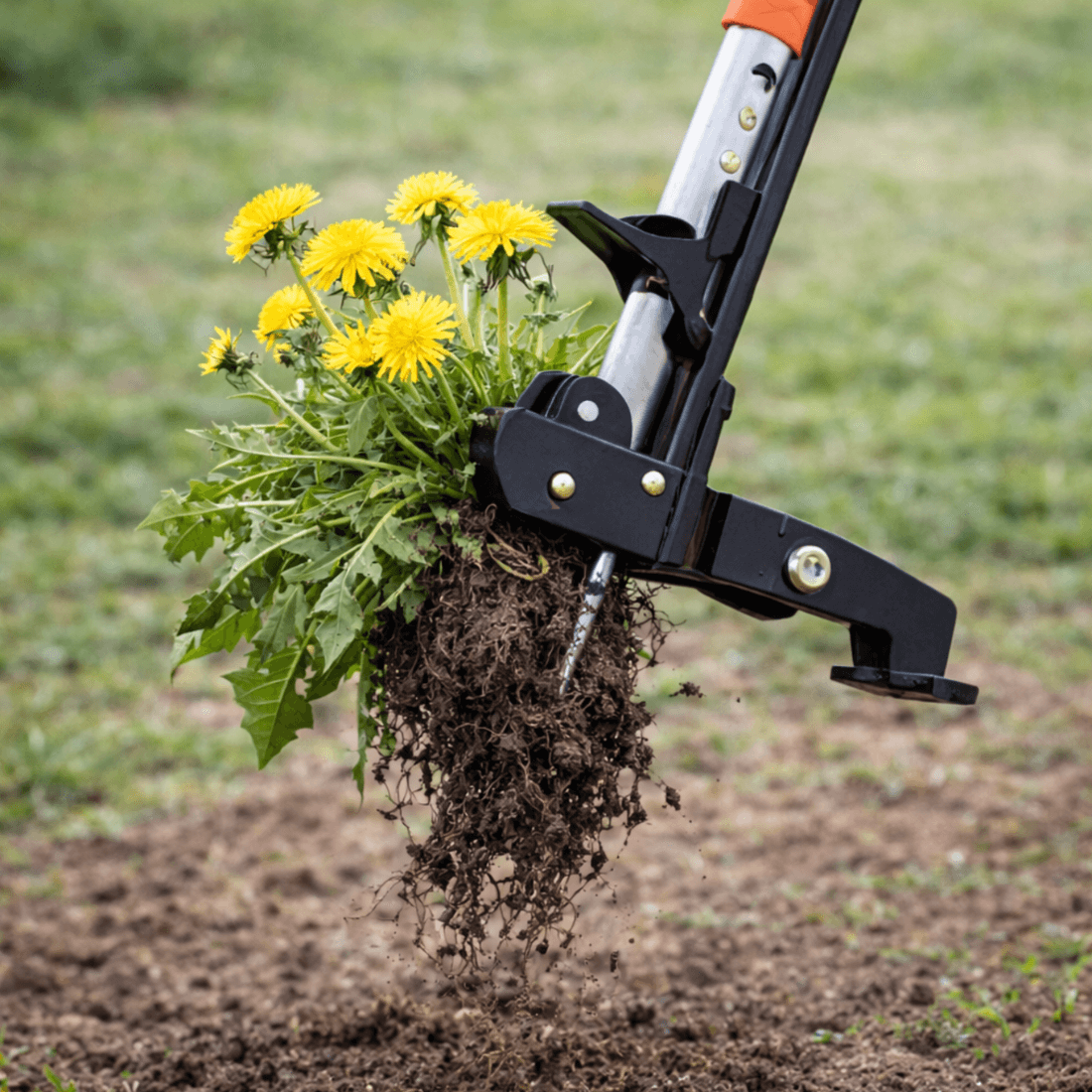 GardenGlimmer™ Stand-Up Garden Weeder