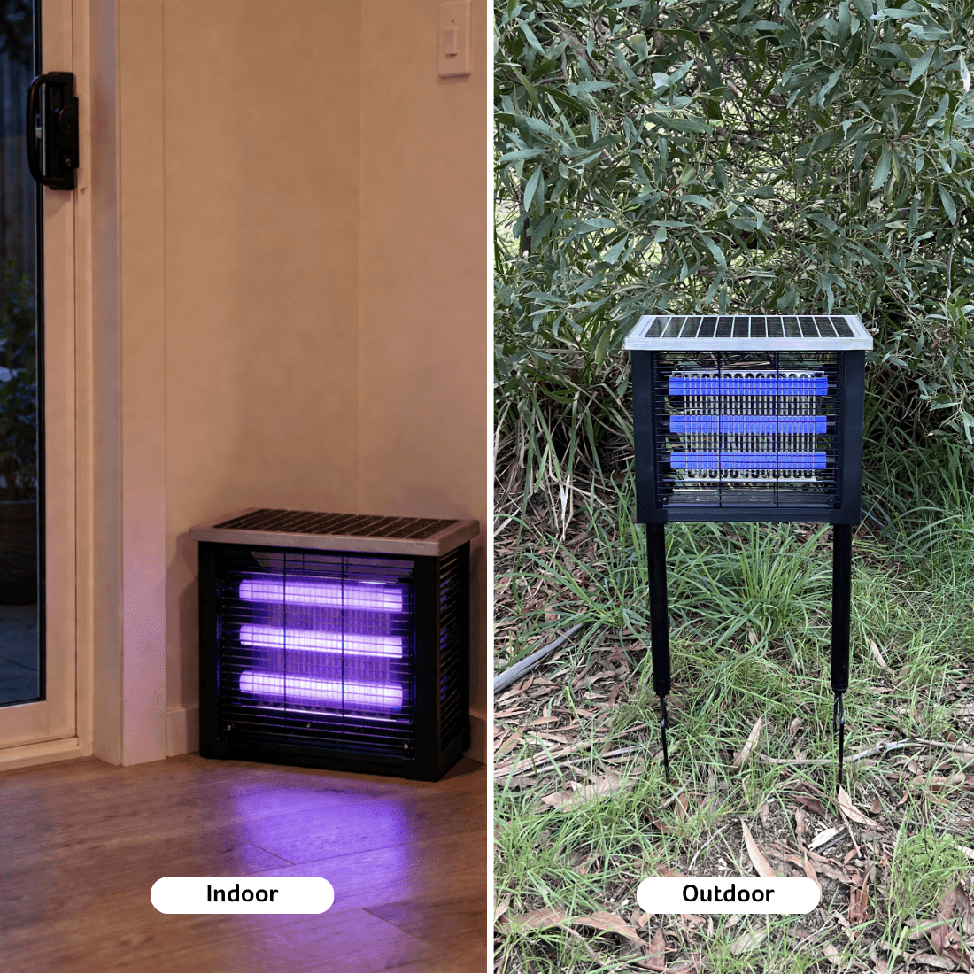 Solar Bug Zapper