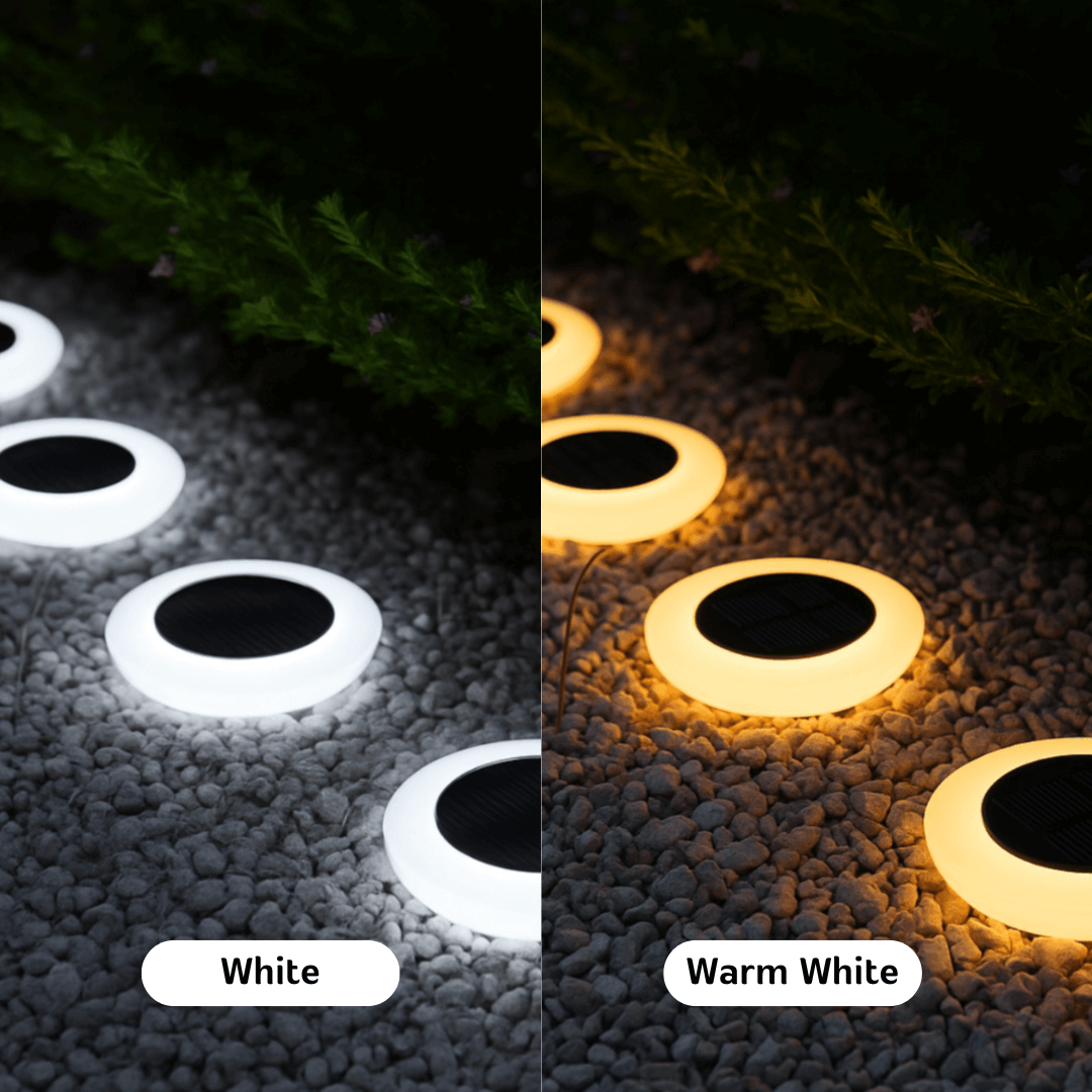 GardenGlimmer™ GlowDisc Solar Ground Light Pack