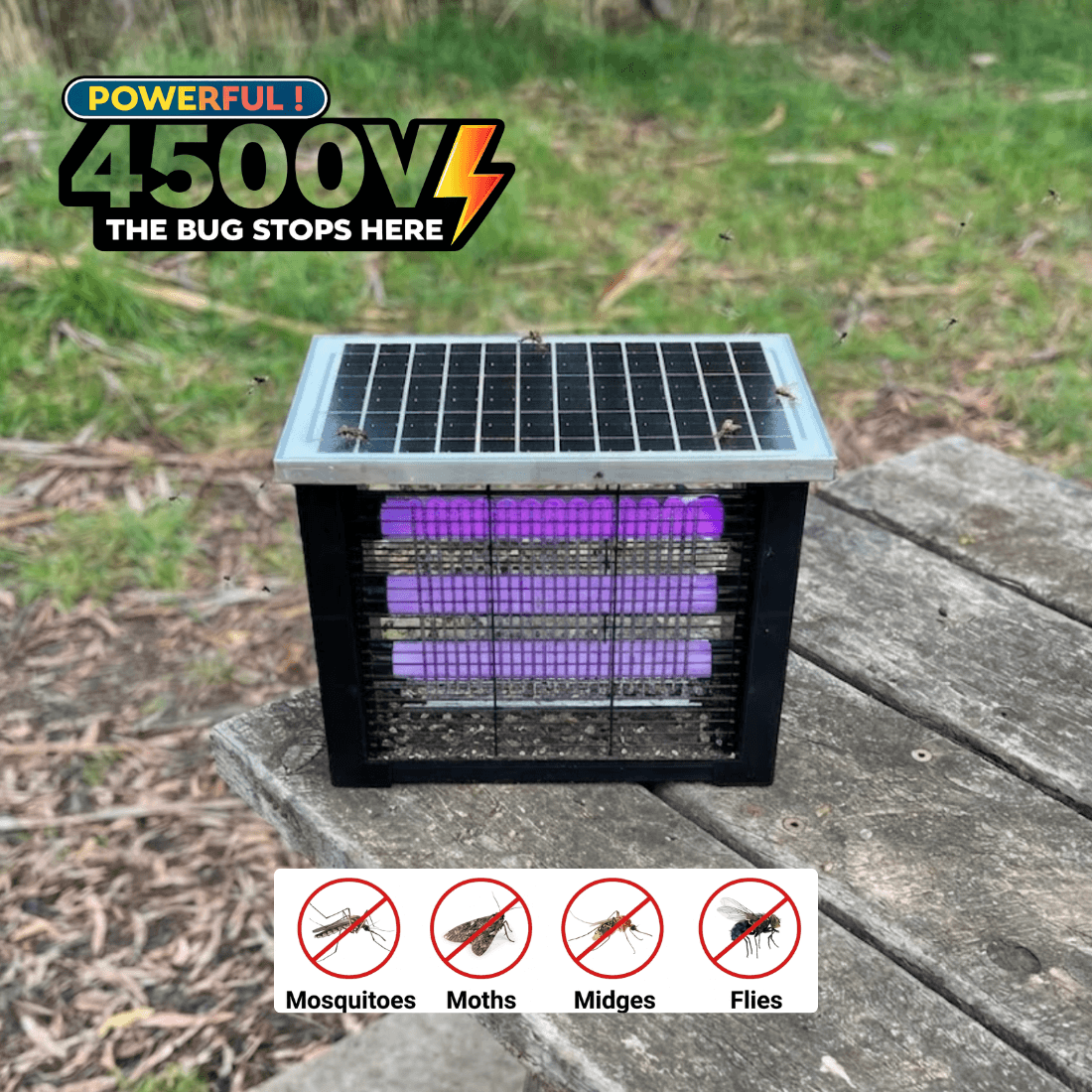Solar Bug Zapper